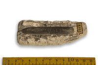 F 07359
<br/>
<br/>
<em></em>